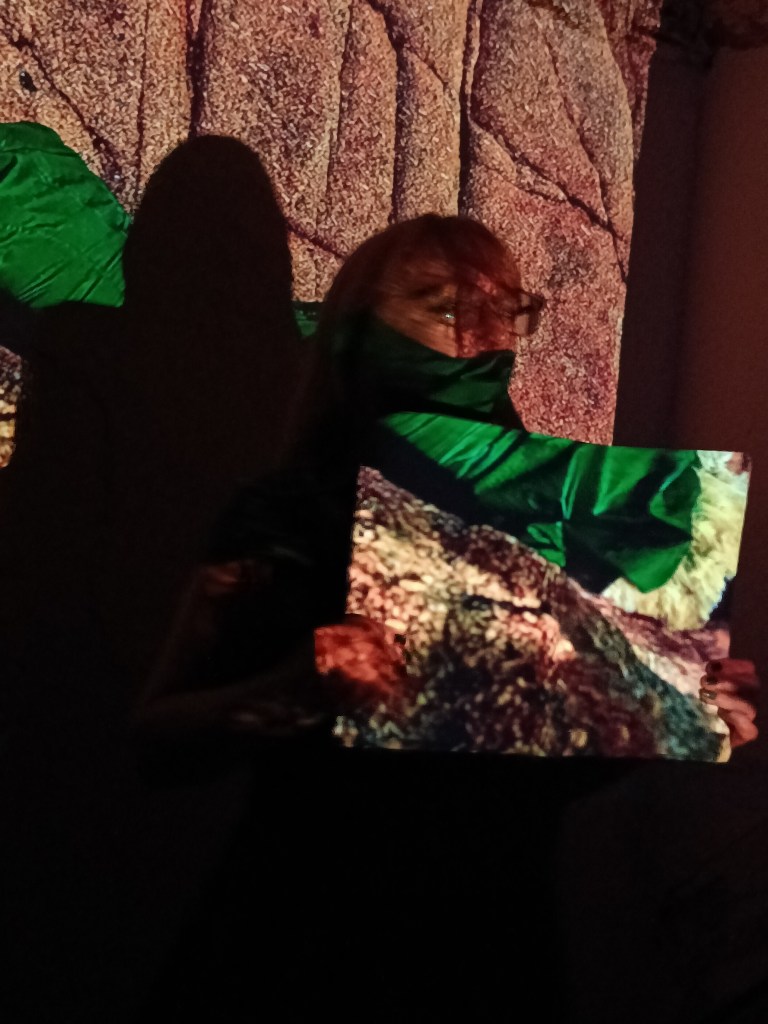 a woman standing in a projected image, the texture of a rocky surface covers her face. she is holding a white book which holds the projected image in brighter detail and shows a woman (her) in a green dress lying on a rock.